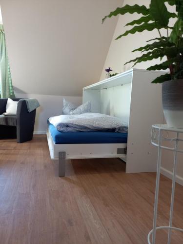 Schwalbennest in Kolkwitz