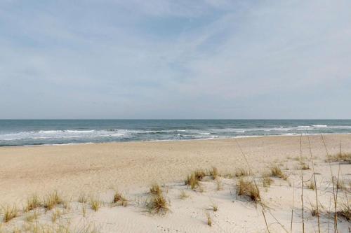 Loggerhead Surf