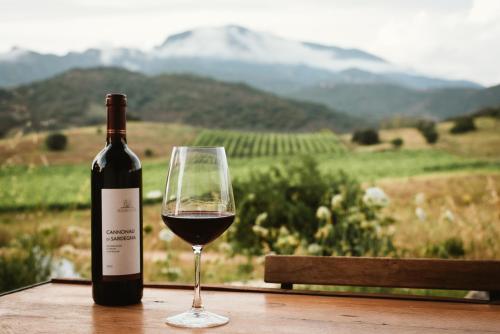 Auberge Santu Martine: cottage with pool (Vinza)