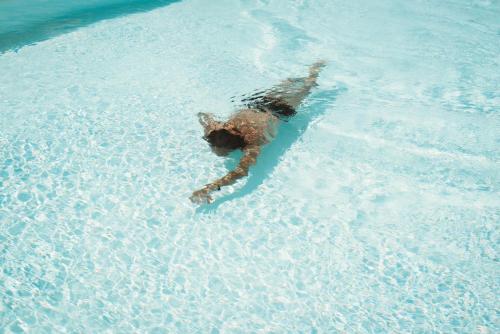 Auberge Santu Martine: cottage with pool (Vinza)