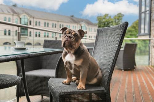 The Riverside - image 14