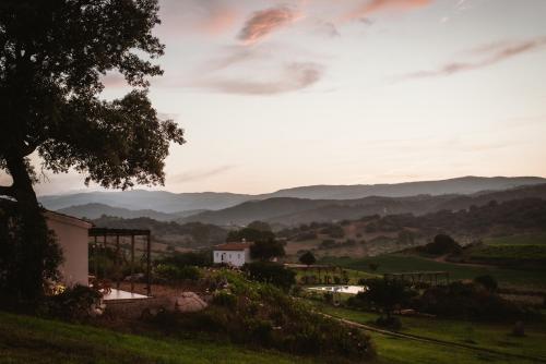 Auberge Santu Martine: cottage with pool (Sughera)