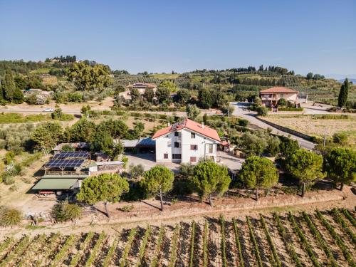 Sole Verde green house