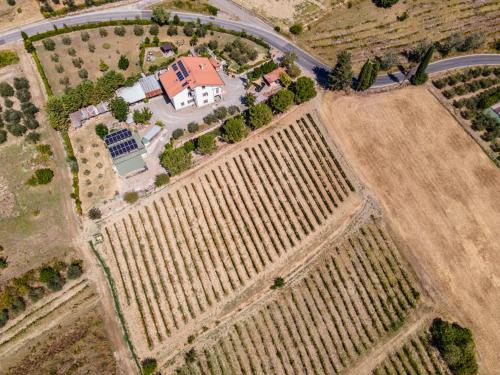 Sole Verde green house