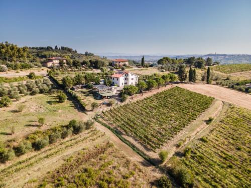  Sole Verde green house in Terricciola