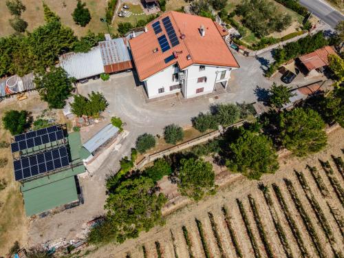 Sole Verde green house
