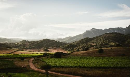 Auberge Santu Martine: cottage with pool (Sughera)