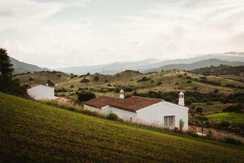 Auberge Santu Martine: cottage with pool (Sughera)