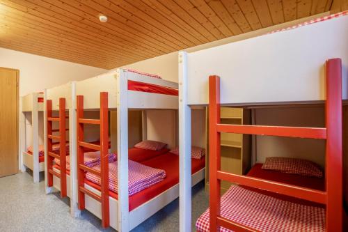 Simons Herberge Room Type - Bunk Bed in Female Dormitory Room  