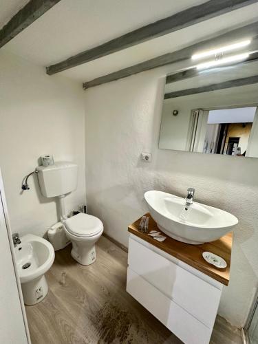 Casa San Massimo, Turín (fotografie 10)