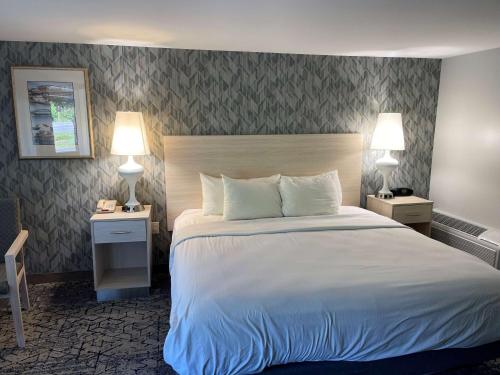 King Room (Not Pet-Friendly)