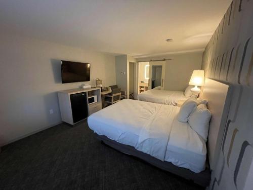 Queen Room with Two Queen Beds and Roll-In Shower - Disability Access (Not Pet-Friendly)