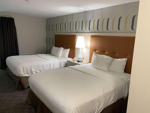 Queen Suite with Four Queen Beds (Not Pet-Friendly)