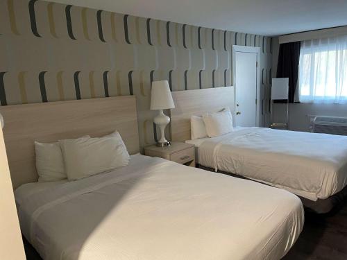 Suite with One King Bed and Two Queen Beds (Not Pet-Friendly)