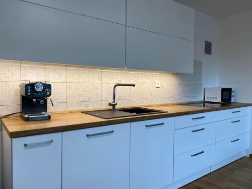 Spacious APT in a Quiet Neighbourhood + Private Parking, Lublaň (fotografie 7)