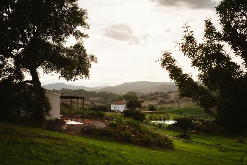 Auberge Santu Martine Cottage with Pool (Ollastru)