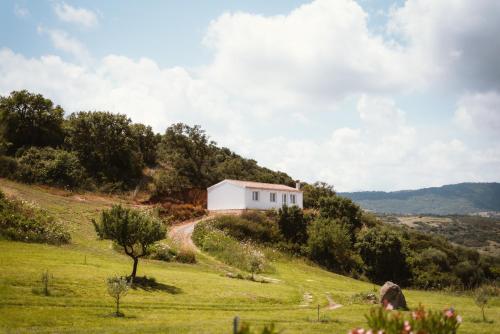 Auberge Santu Martine - Cottage with Pool - Ischierda