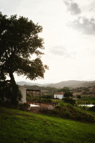 Auberge Santu Martine: Cottage with Pool (Manca)