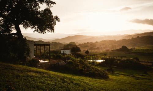 Auberge Santu Martine: Cottage with Pool (Manca)
