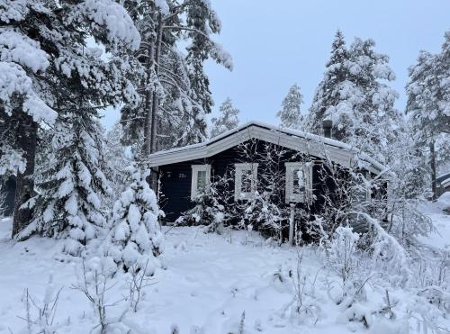 Rustik timmerstuga nära Tandådalens anläggningar