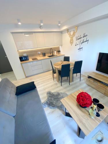 Apartament ZŁoty Jeleń - z Kominkiem - ścisłe Centrum miasta- Sauna - Widok na Góry, Szklarska Poręba (Foto 11)