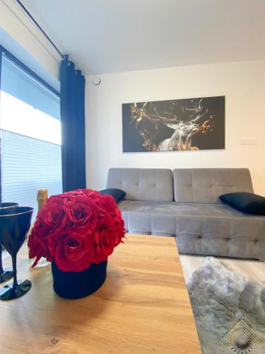 Apartament ZŁoty Jeleń - z Kominkiem - ścisłe Centrum miasta- Sauna - Widok na Góry, Szklarska Poręba (Foto 10)