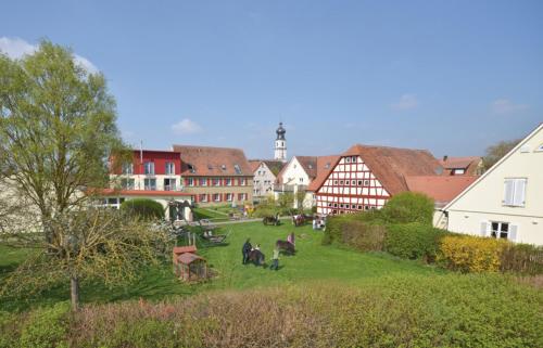 Holunderblute in Colmberg