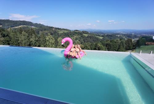 Swimmingpool, Chalet-Südsteiermark - exquisit & gemütlich (Chalet-Sudsteiermark - traumhafte Aussicht, Infinity Pool, Privatsphare, Klima und de-luxe Ausstattu) in Schwanberg