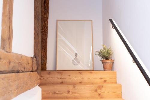 Ansitz Layshof Apartment 1254