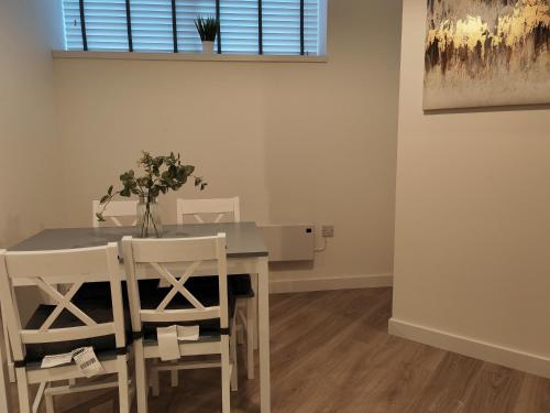 Bayard Plaza 1 Bedroom Modern Spacious Apartment