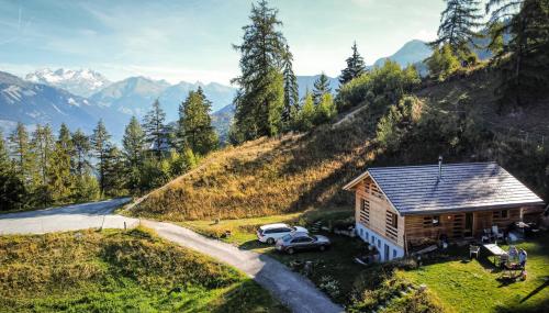 Modern chalet surrounded by nature in Vercorin in 3967 Vercorin