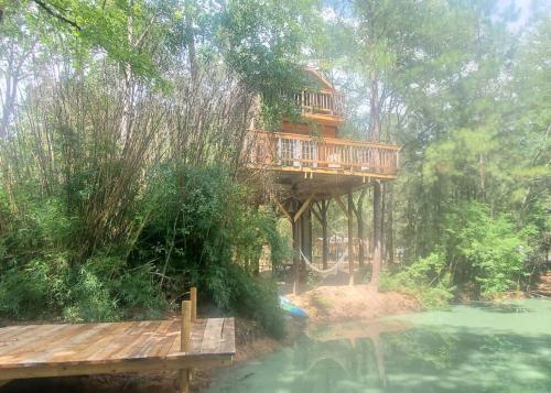 Waterfront Treehouse in a Magical Forest - Accommodation - Waller