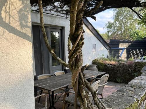 Jardins Fleuries 2 gîte à louer Sommant