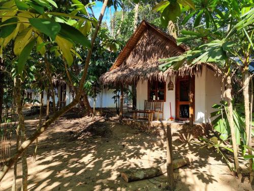 Garden, SunBoo Beach Bungalows in Koh Rong Sanloem