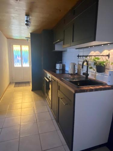kuhinja, Ferienwohnung in Stein AR in Schlatt-Haslen