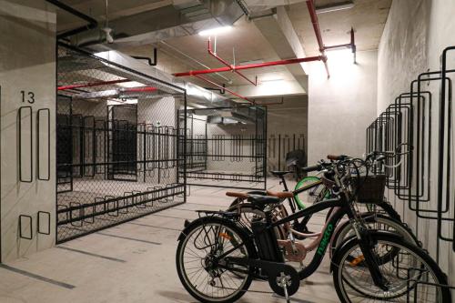 Kennedy by Wynwood House