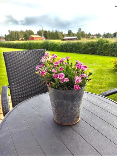 RT asunto, sauna, terassi ja autokatos in 佩賴塞奈約基