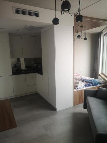 Magnolia Loft Apartments - image 5