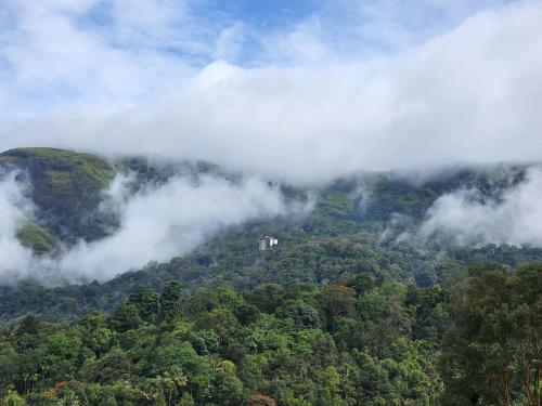 Cherry Blossom home stay- Munnar