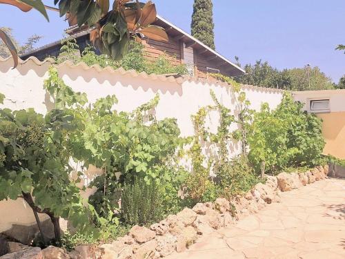 Casa con piscina y barbacoa