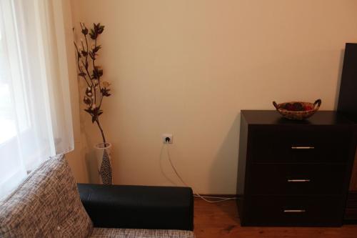 Apartment in Forest Glade Hotel, Pamporovo (fotografie 6)