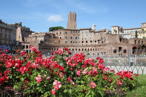 All Suite Colosseo - image 14