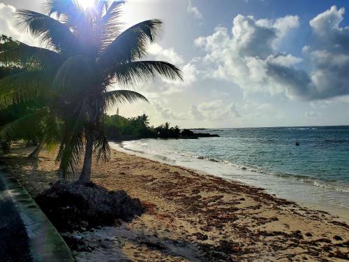 Villa l'Anjou Créole à Sainte Anne en Guadeloupe avec piscine privée et 3 chambres pour 6 personnes (Villa l'Anjou Creole a Sainte Anne en Guadeloupe avec piscine privee et 3 chambres pour 6 personnes) in Sainte Anne