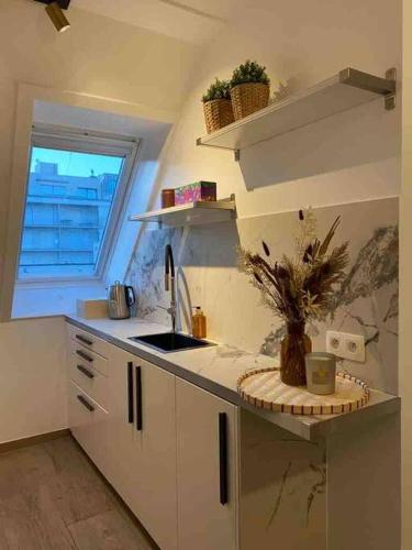 Moderne studio, Nieuwpoort (foto 11)