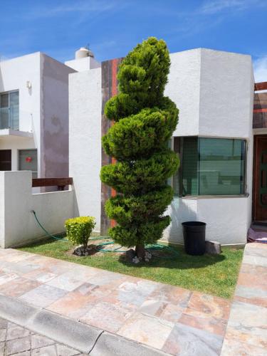 Casa Green in Oaxaca City, Mexico