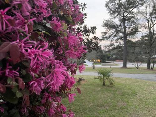 Stay at Emma Jean Retreat in Sumter! in Sumter Belváros