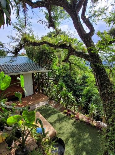 CABAÑAS EN ZONA 16, Гватемала