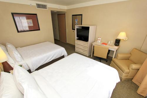 492143021 Holiday Inn Leon-Convention Center by IHG