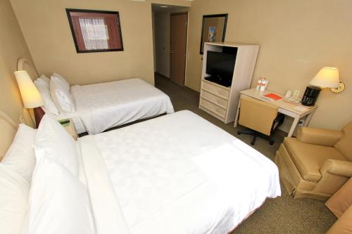 492143055 Holiday Inn Leon-Convention Center by IHG