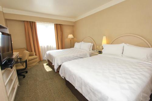 492143090 Holiday Inn Leon-Convention Center by IHG